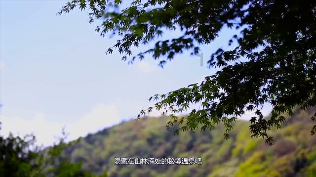 公主设计师大赛